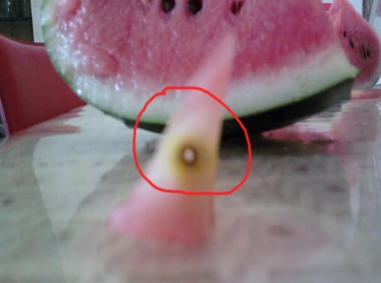 西瓜怎么看出来打了甜蜜素 2012051753139861.jpg